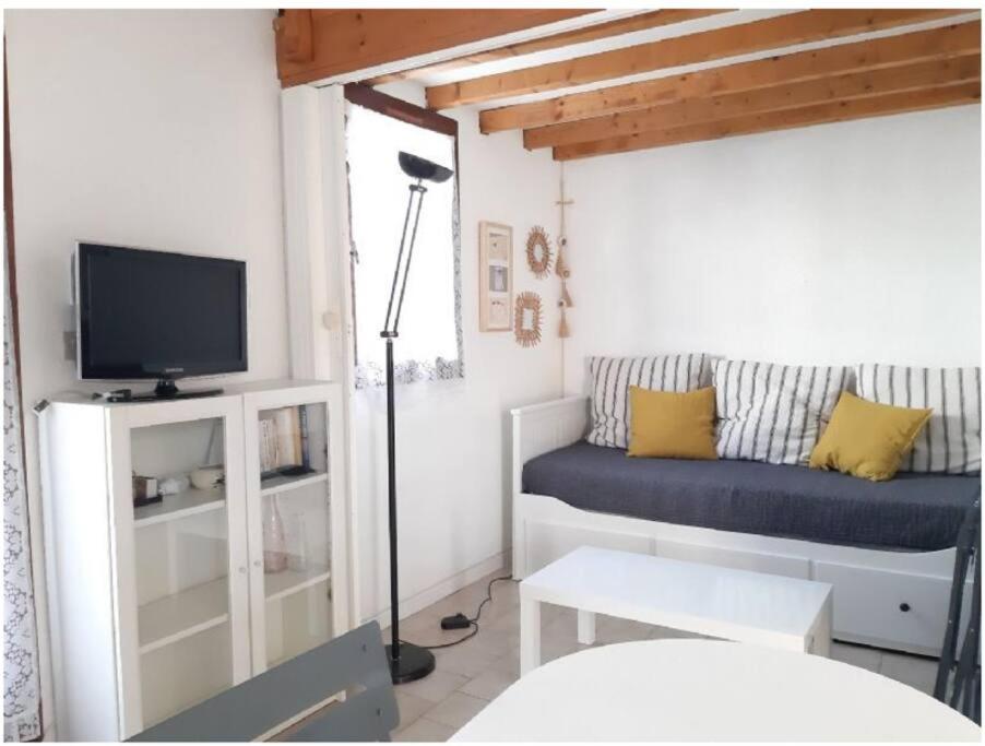 sala de estar con sofá y TV en Maison T2 Terrasse Mezzanine, en Le Grau d'Agde