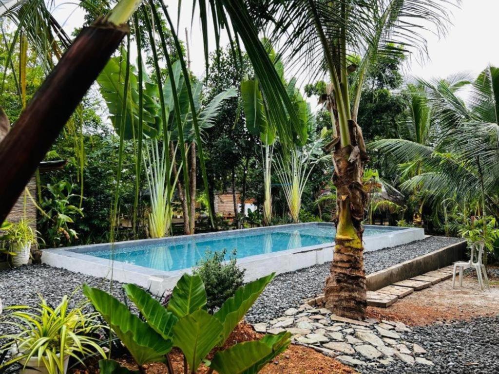 a swimming pool in a tropical garden with a palm tree at Bohol Island Homestay in Dauis