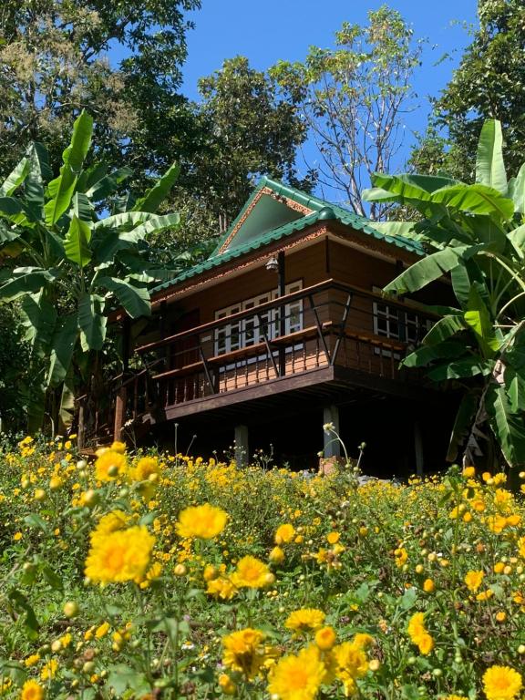 ein Haus inmitten einer Blumenwiese in der Unterkunft Tiny House on the Hill Farmstay in Ban Kat Khi Lek