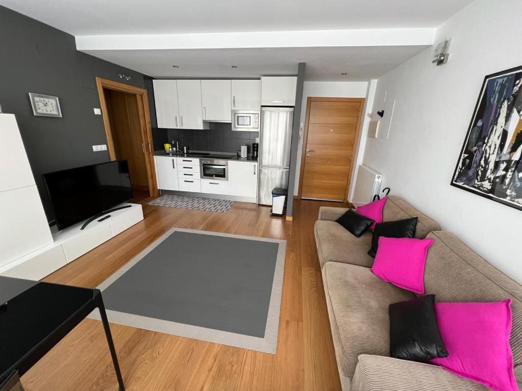 Una sala de estar con un sofá y almohadas rosas. en Elcano Bermeo By Urdaibai Rentals, en Bermeo