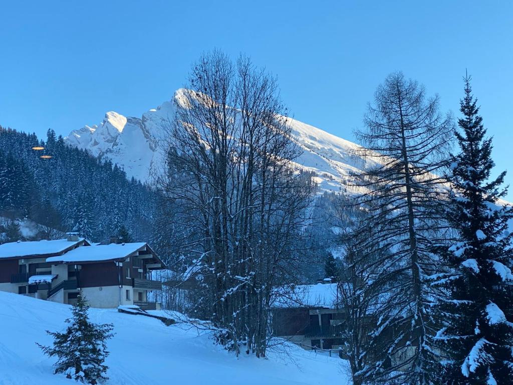 a snow covered mountain with a house and trees at Les bouquetins in La Clusaz