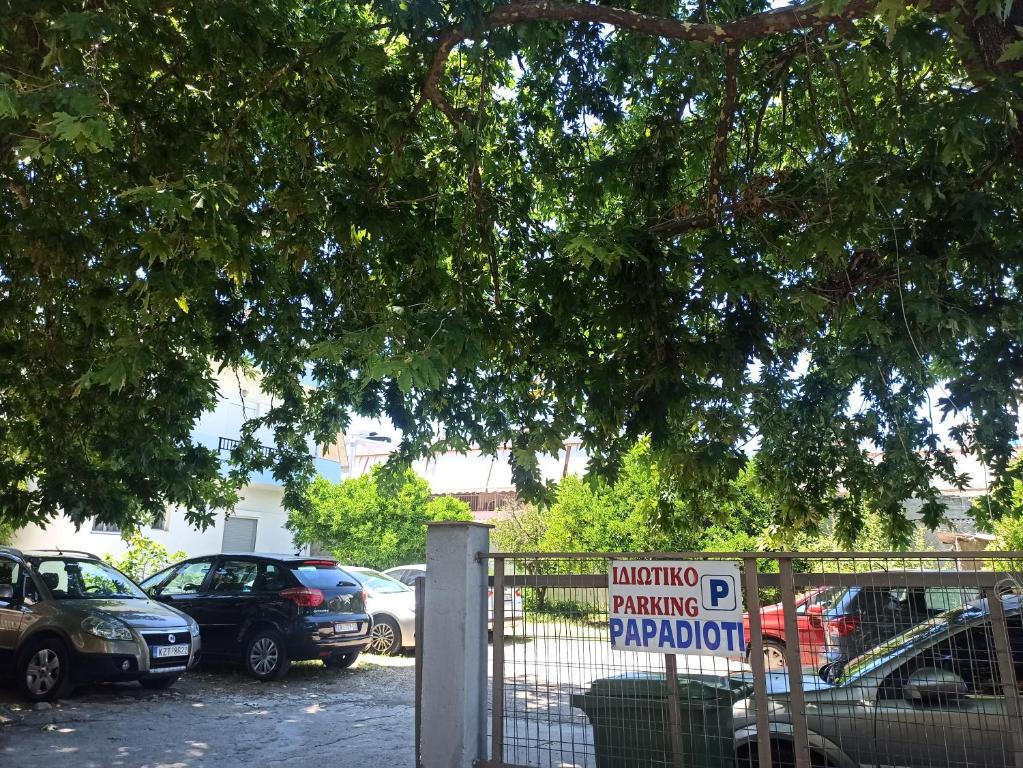 Fotografie z fotogalerie ubytování Apartments Papadioti v destinaci Pefki