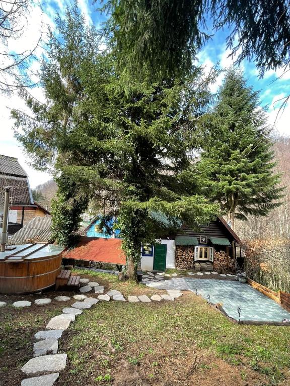 a house with a tree and a swimming pool at Cabana Farmec Ciubăr - Dézsabáj Kulcsosház in Sovata