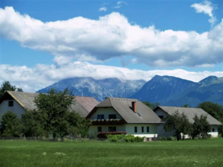 ein Haus auf einem Feld mit Bergen im Hintergrund in der Unterkunft Farmhouse Apartment Happy Cow in Mavčiče