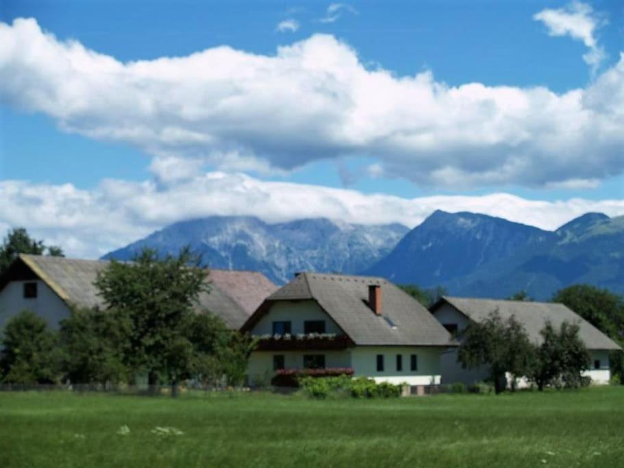 una casa en un campo con montañas al fondo en Farmhouse Apartment Happy Cow, en Mavčiče