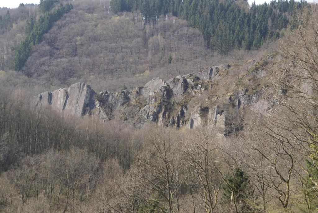 Příroda nedaleko apartmánu