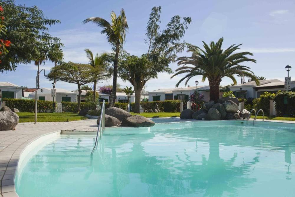 a swimming pool with blue water and palm trees at Bungalow Maspalomas in Maspalomas