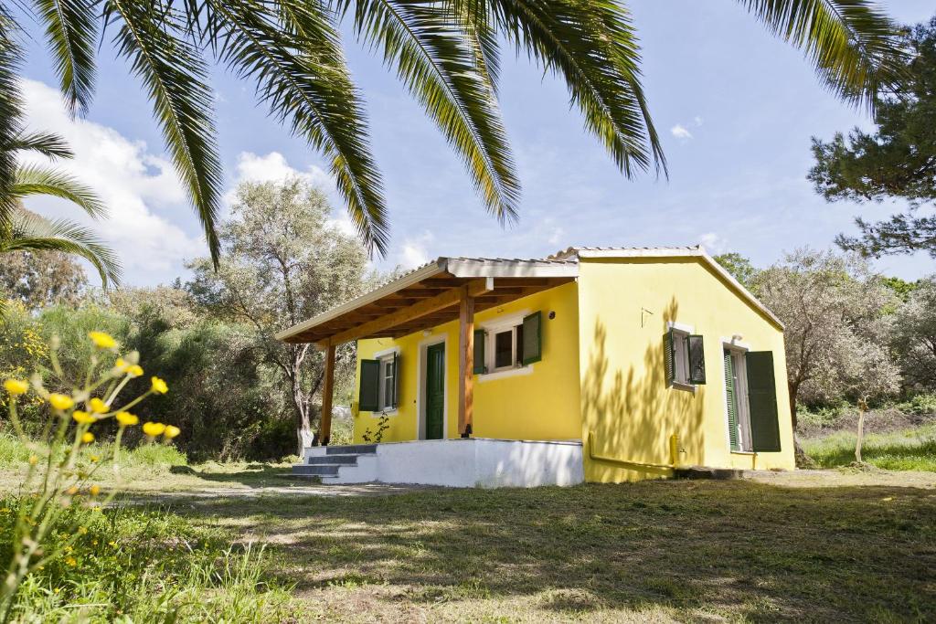 アカラヴィにあるHandmade houseのヤシの木のある黄色い家