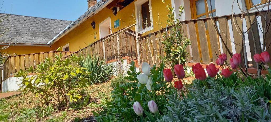 einen Garten mit roten und weißen Tulpen vor einem Zaun in der Unterkunft Ferienhaus Bioeck in Mühlgraben