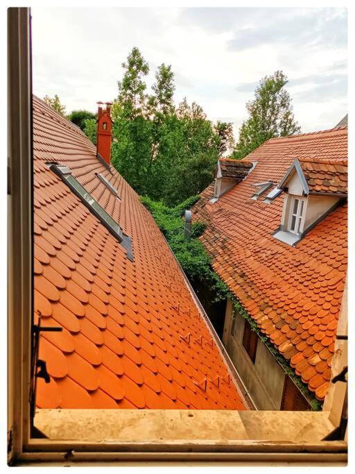 Фотография из галереи Grich Top Location Apartment в Загребе