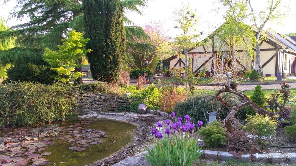 a garden with purple flowers and a pond at La Vallée du Cher in Monthou-sur-Cher