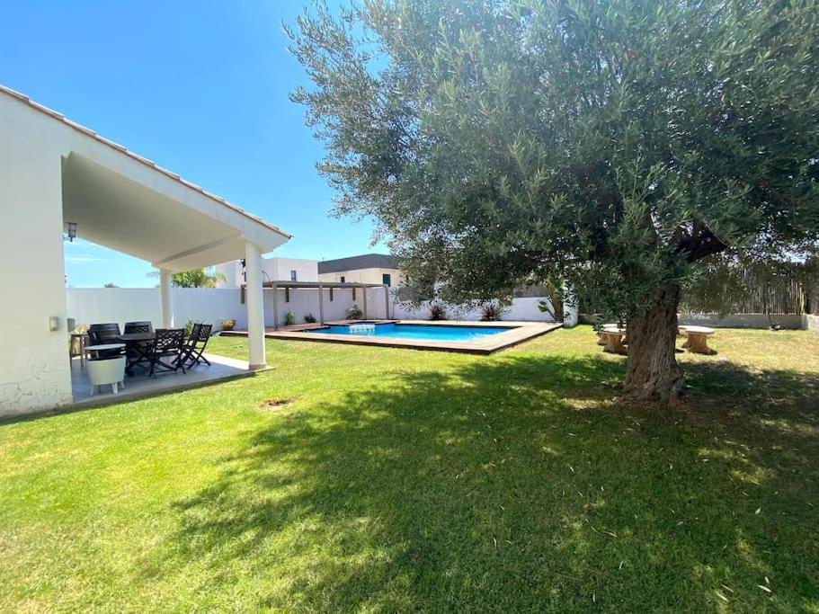 a yard with a tree and a swimming pool at Villa with private Pool & Garden in Riba-Roja De Turia