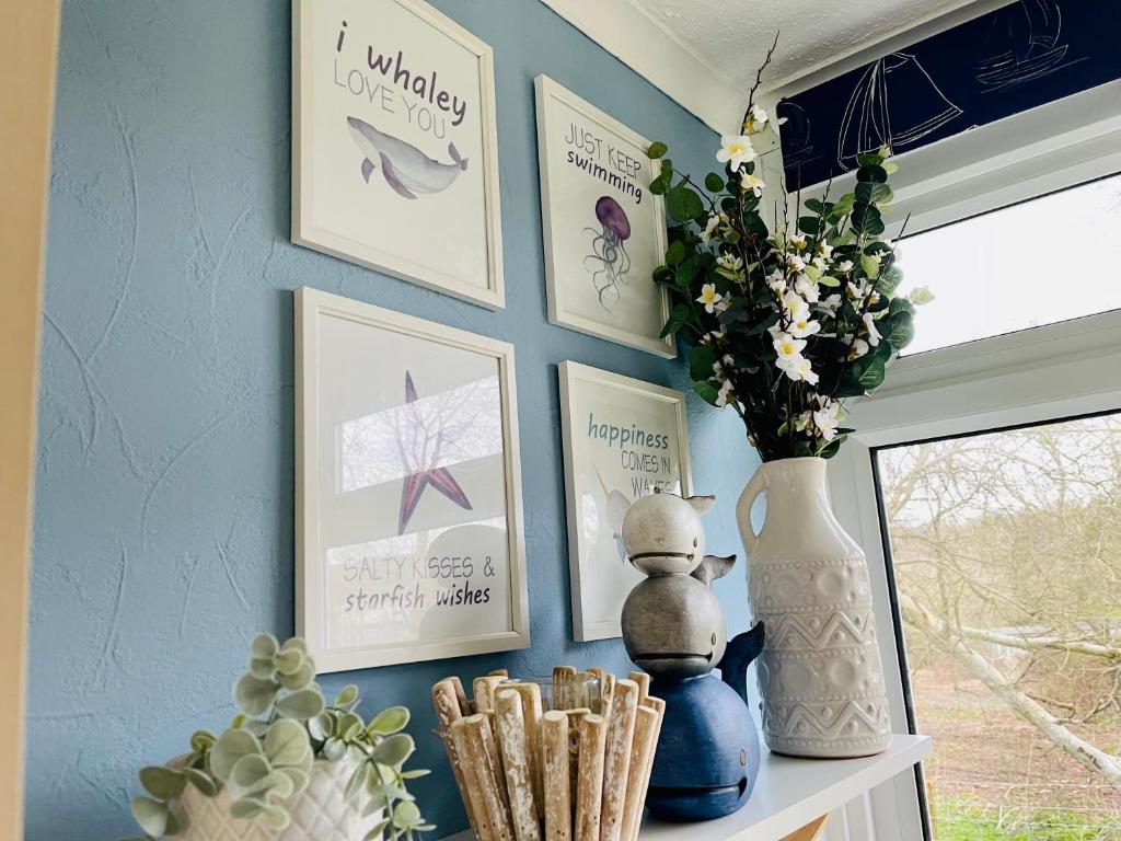a blue wall with pictures and a vase on a shelf at “SEA HEAVEN “ chalet in Sandown Bay Holiday Park in Brading
