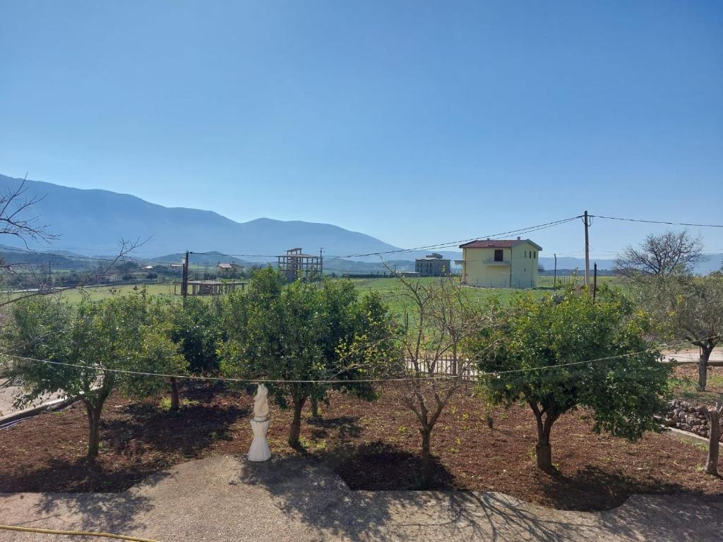 Villa Hodaj - Image 6