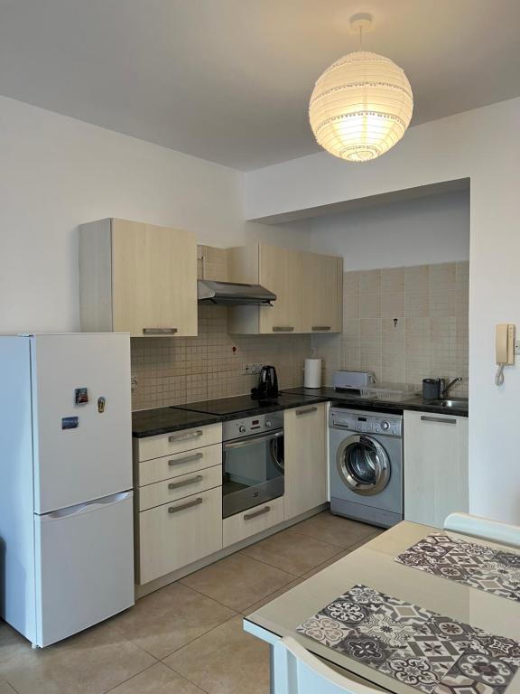 a kitchen with a white refrigerator and a dishwasher at AFRODITI APARTMENTs in Perivolia