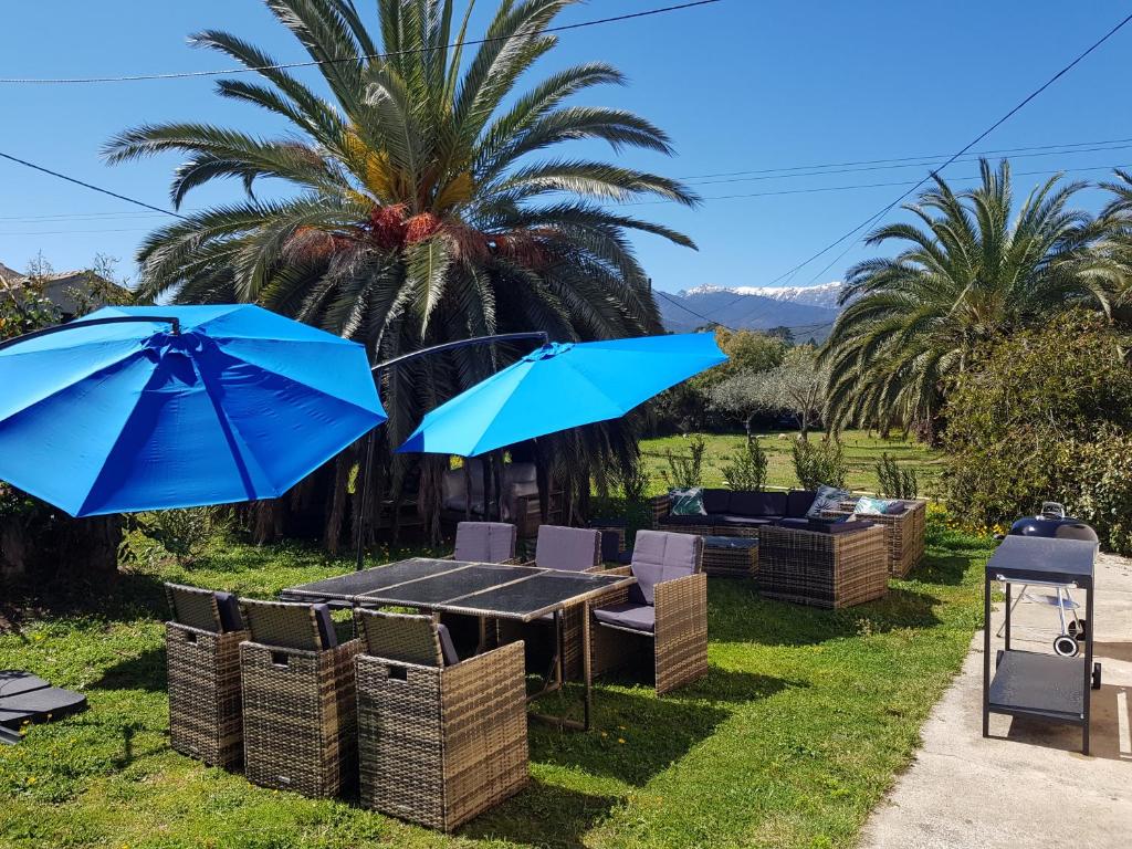 une terrasse avec une table et des parasols bleus dans l'établissement PALMA Piscine chauffée Grand jardin avec piscine à 1 km de la mer, à Solaro