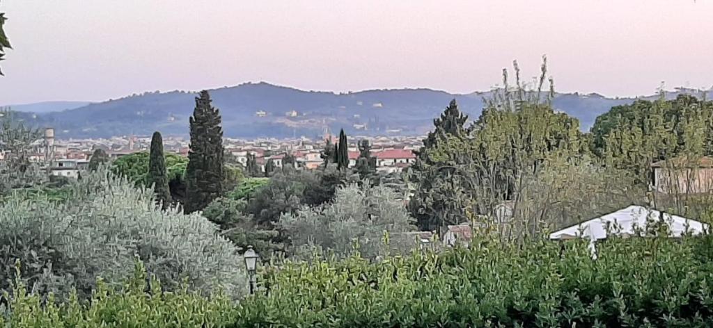 Poggio Gherardo - 18