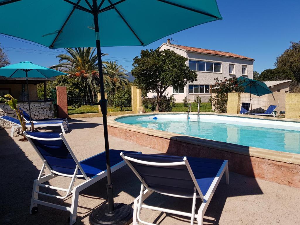 grupa leżaków i parasoli przy basenie w obiekcie VILLA Piscine chauffée 15 pers avec piscine vue mer montagne 1km mer w mieście Solaro