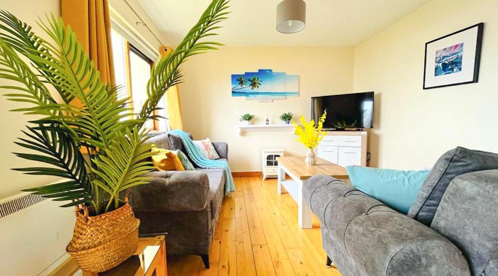 a living room with a couch and a plant at Summer Breeze - Cosy & Warm Holiday Home in Youghal's heart - Family Friendly - Long Term Price Cuts in Youghal