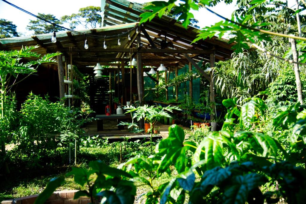 SoulFire Farm, Solarte (updated prices 2024)