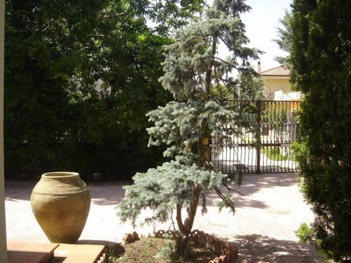 Zahrada ubytování B&B Rollo Garden