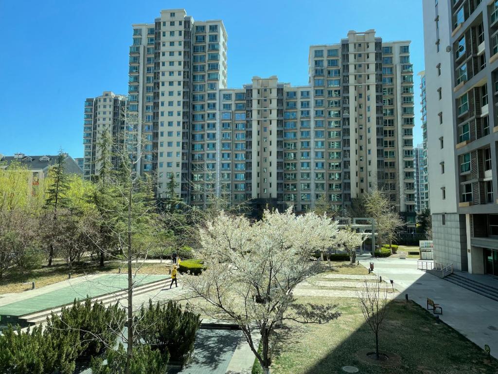 Foto dalla galleria di Beijing Haisheng Apartment a Pechino