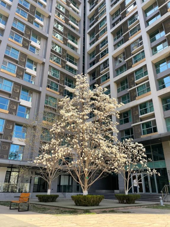 Foto dalla galleria di Beijing Haisheng Apartment a Pechino