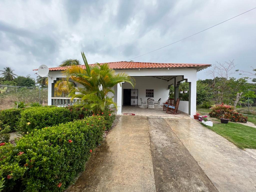 una pequeña casa blanca con una palmera en Villa Piña Alojamiento rural, 