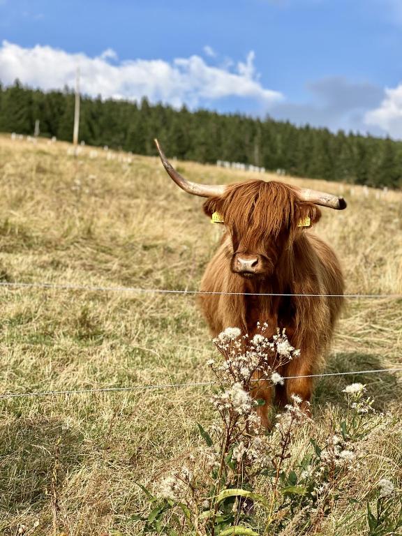 Bouda Klínovka - Resim 19