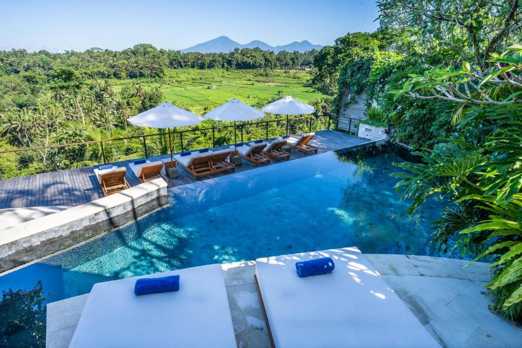 an infinity pool with chairs and umbrellas in a resort at Uma Kalai in Ubud