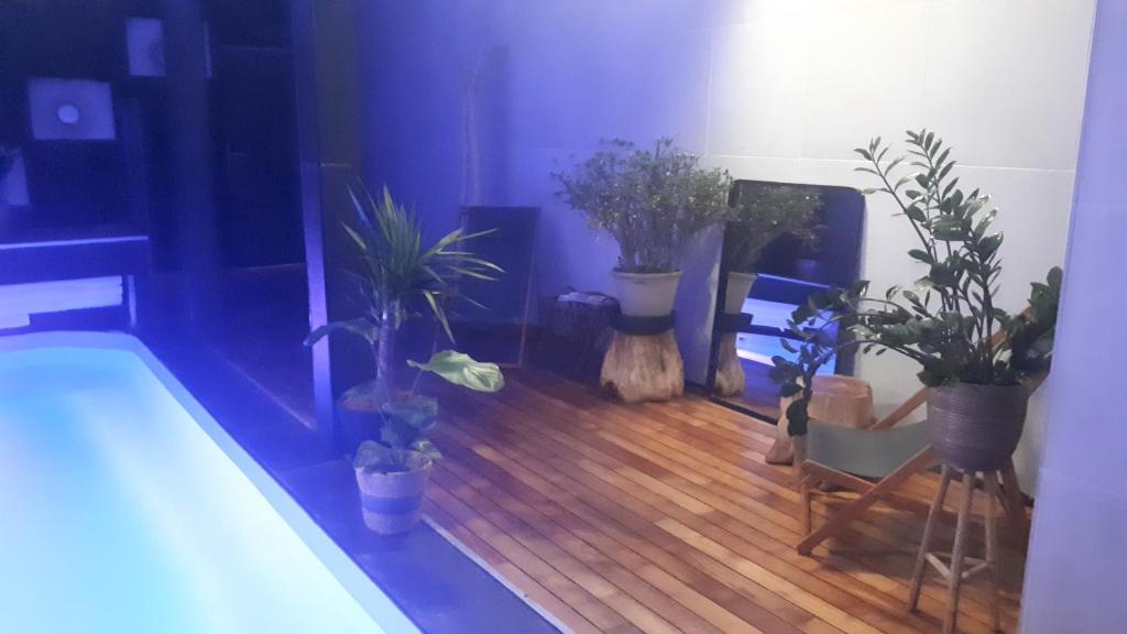 um quarto com vasos de plantas e uma banheira em A l'Origine em Lille