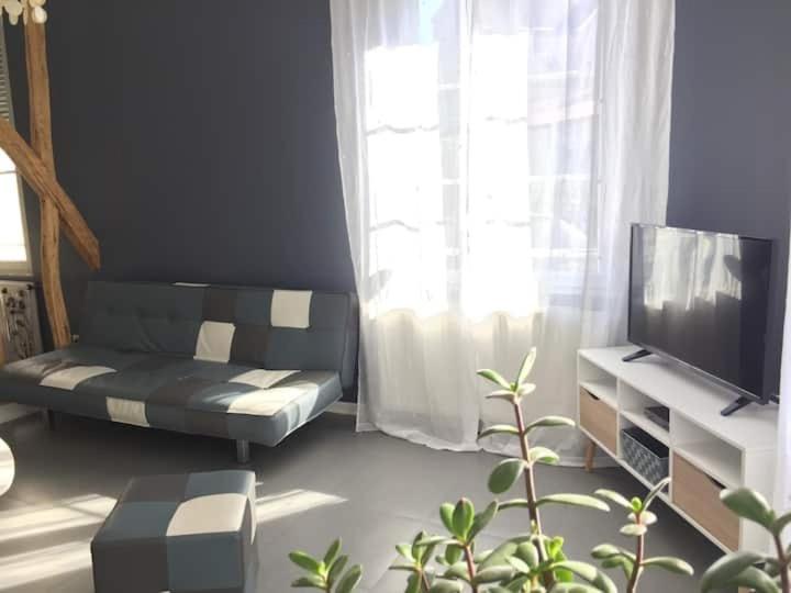 ein Wohnzimmer mit einem Sofa und einem TV in der Unterkunft Le Sarment in Sainte-Menehould