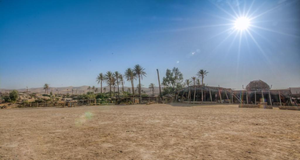 a field with palm trees and the sun in the sky at Kfar Hanokdim - Desert Guest Rooms in Arad