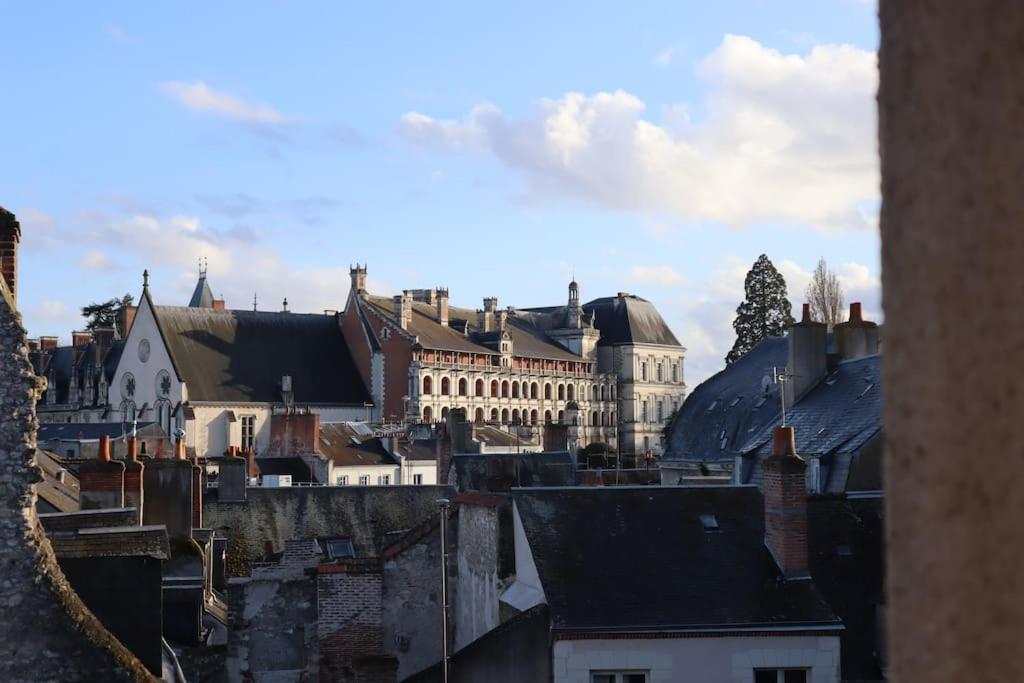 Blick auf eine Stadt mit Gebäuden und Dächern in der Unterkunft Appart'Hôtel Blois vue Château in Blois