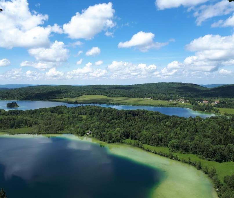 an aerial view of a large lake with trees at Studio cosy in Lons-le-Saunier
