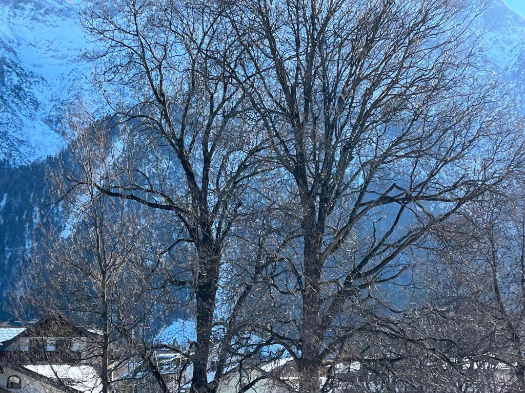 Ferienwohnung Seidl Wohnung Kontrabass - 5