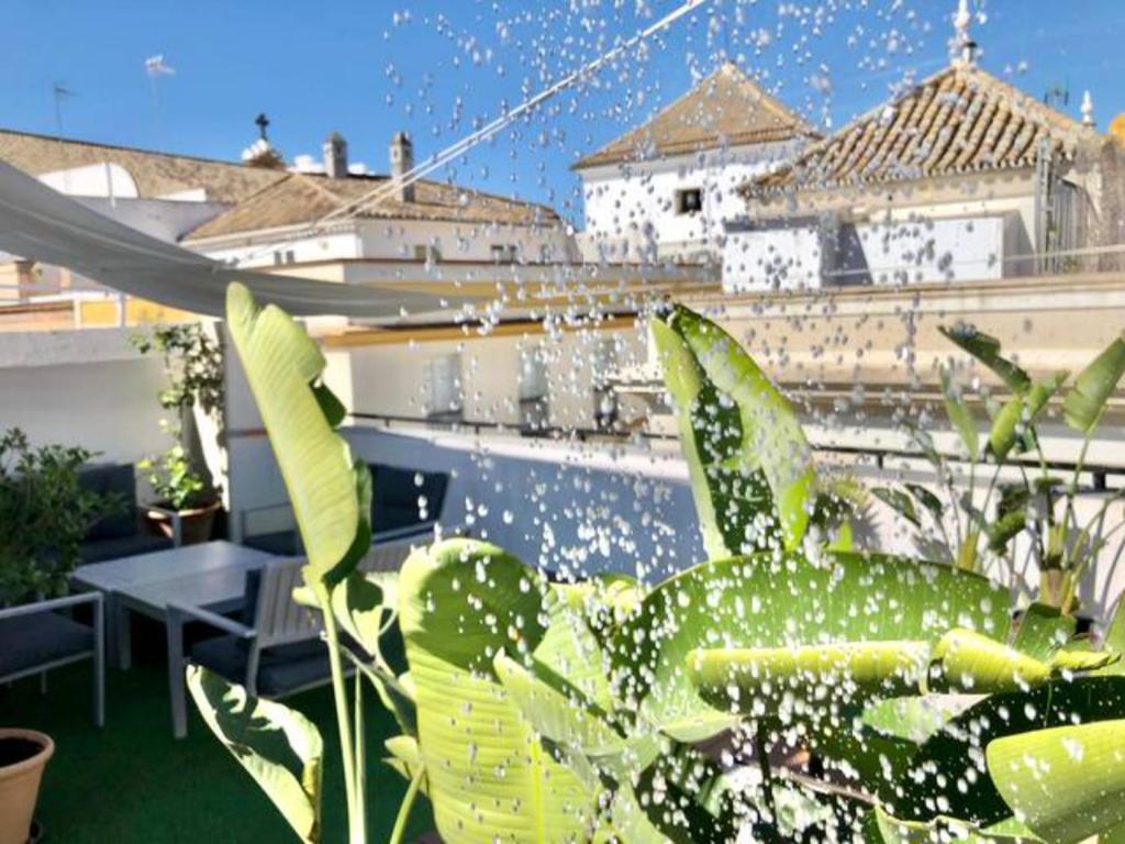 Home in Seville V33-1 Izq, Seville – Updated 2023 Prices