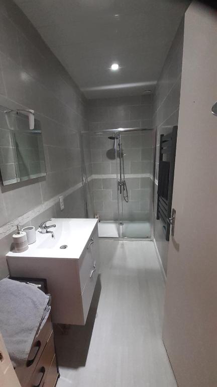 Ein Badezimmer in der Unterkunft Appartemment situ&eacute; a lacaune les bains