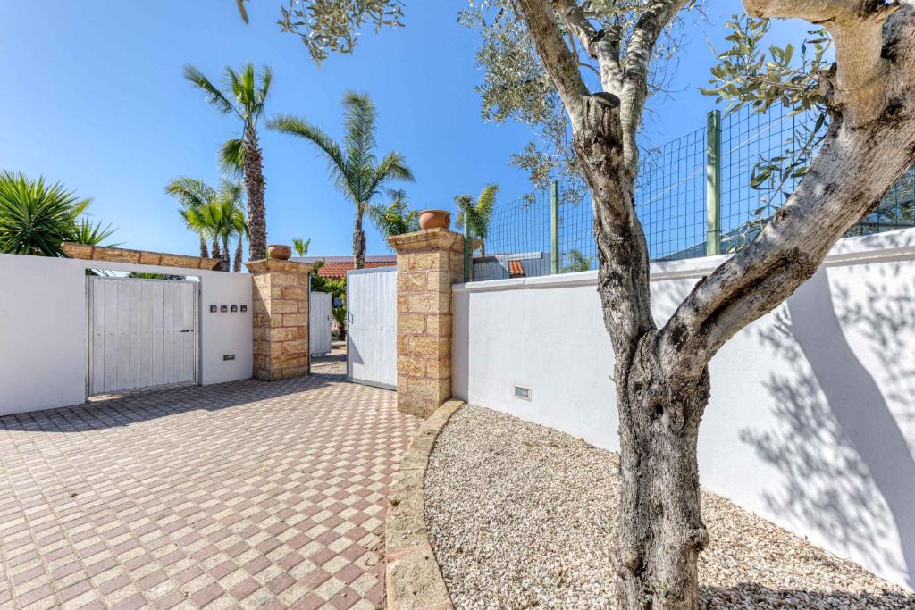 a driveway with a white fence and a tree at Villetta climatizzata Mar in Torre San Giovanni Ugento