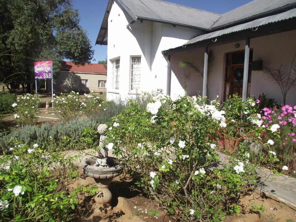 a garden in front of a white house with flowers at Lavender Rose in Bethulie