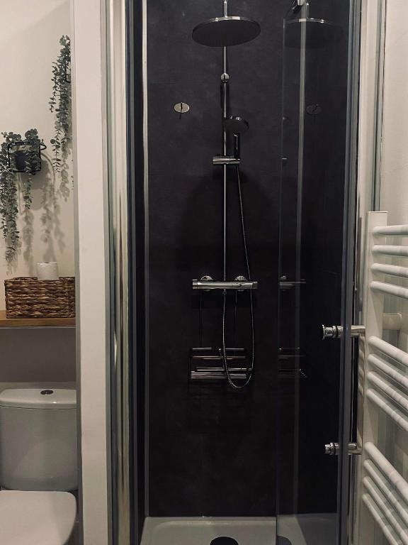 Kúpeľňa v ubytovaní Studio «  La Mouette Rieuse »