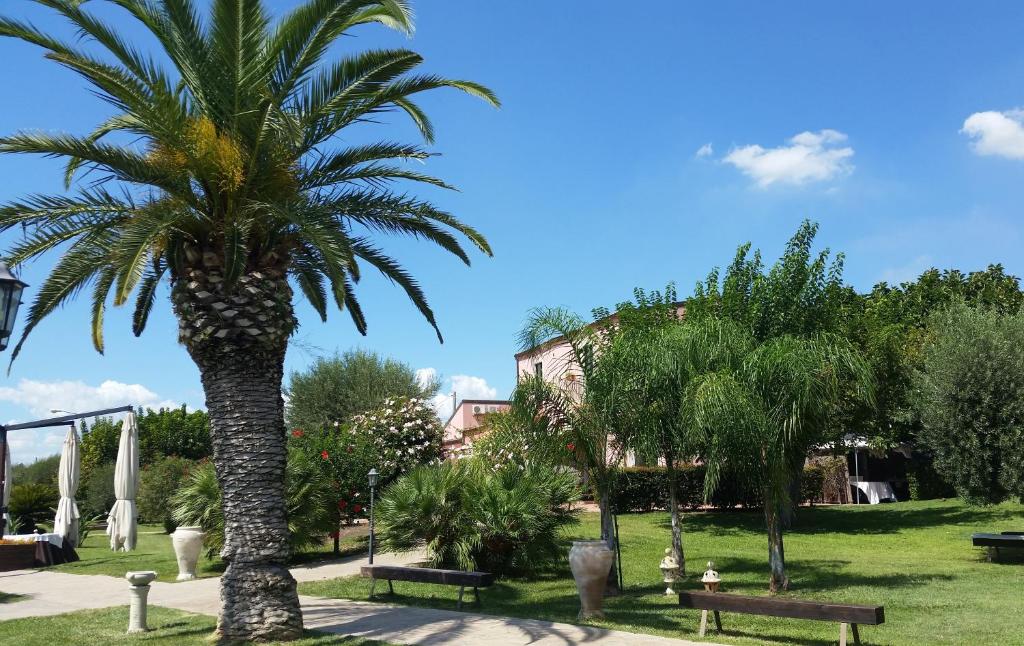A garden outside Badiula