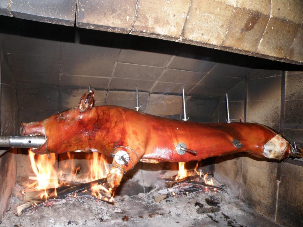 Zvířata v ubytování v soukromí nebo okolí