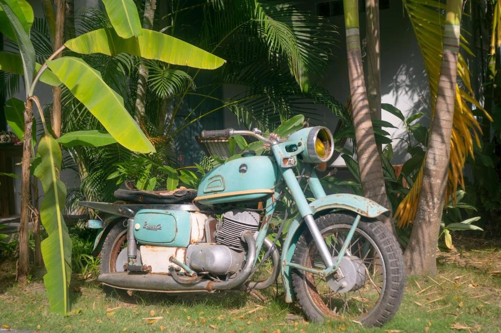 an old blue motorcycle parked in front of palm trees at Ekaa Hotel in Palomino