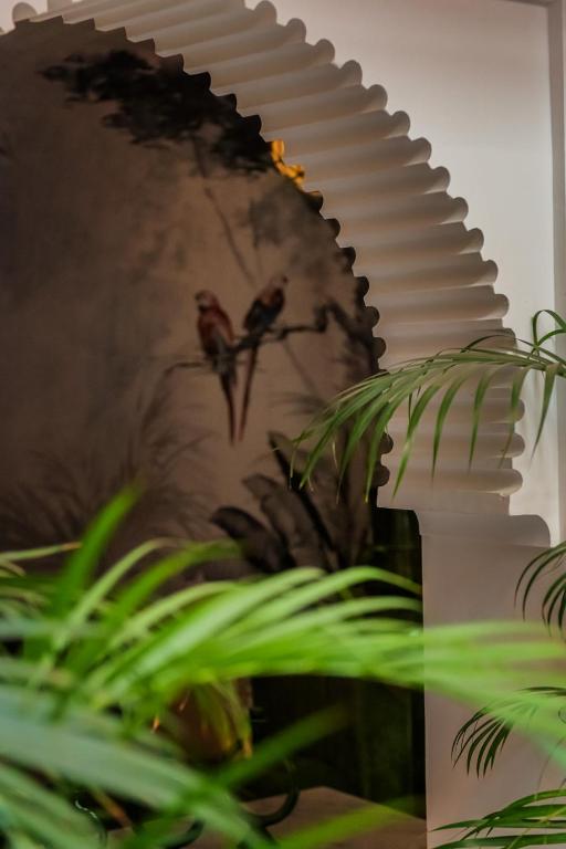Fotografie z fotogalerie ubytování Riad Le Saadien ,Adult only v Marrákéši