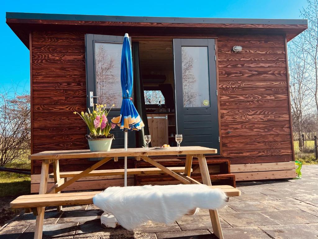 a wooden cabin with a table and a blue umbrella at Tinyhouse Spiegelpeer in Ruinerwold