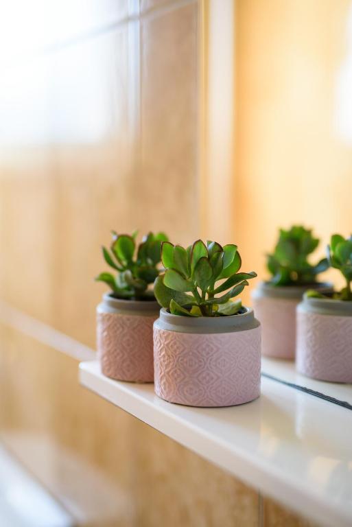 California Apartments - 16