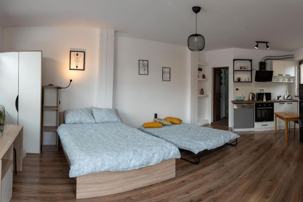 ein Schlafzimmer mit 2 Betten und eine Küche darin in der Unterkunft Studio Panagyurishte in Panagjurischte