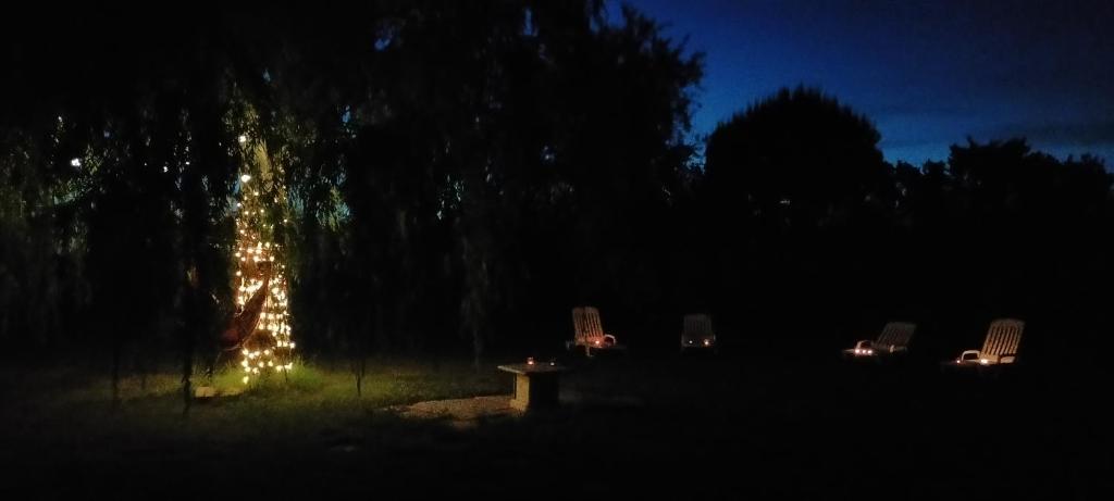 Vonkajšia záhrada v ubytovaní Mas des Marbres Sauvages dans un parc immense à 10mn de la plage