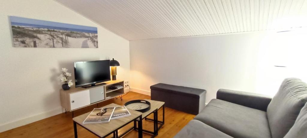 Televízia a/alebo spoločenská miestnosť v ubytovaní MER - Agreable appartement-place de parking privee